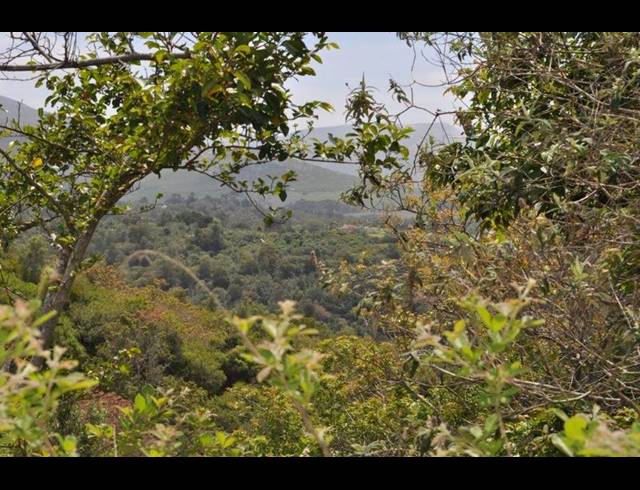 LAND FOR SALE IN WILDERNESS HEIGHTS